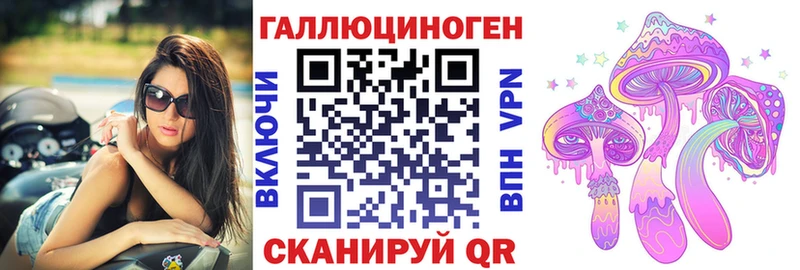 цены   Курган  Галлюциногенные грибы Psilocybine cubensis 